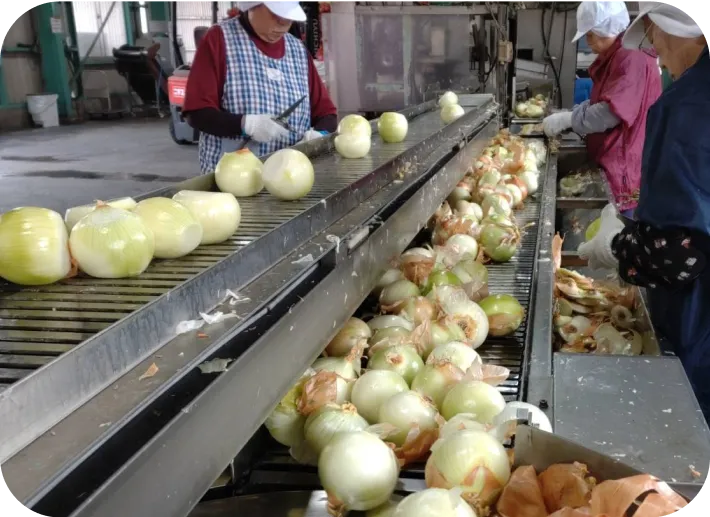 エアーされた玉ねぎ | 有限会社オニオントリミング | 大分県国見市 玉ねぎ ニンニク加工