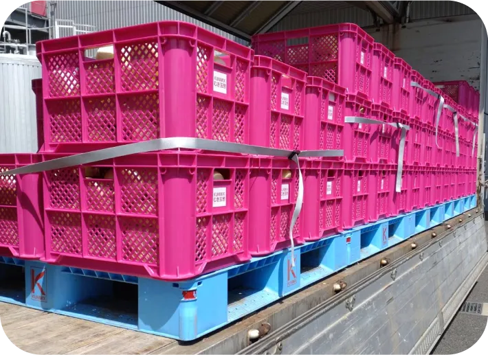 出荷 | 有限会社オニオントリミング | 大分県国見市 玉ねぎ ニンニク加工