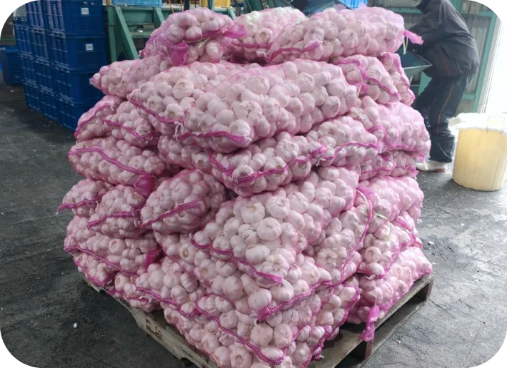 入荷された玉ねぎ | 有限会社オニオントリミング | 大分県国見市 玉ねぎ ニンニク加工