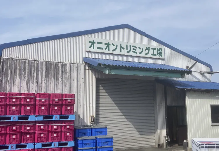 工場の写真 | オニオントリミング | 大分県国見市 玉ねぎ ニンニク加工