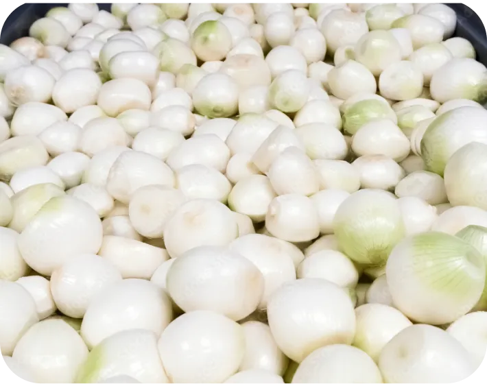 剥いた玉ねぎ | 有限会社オニオントリミング | 大分県国見市 玉ねぎ ニンニク加工